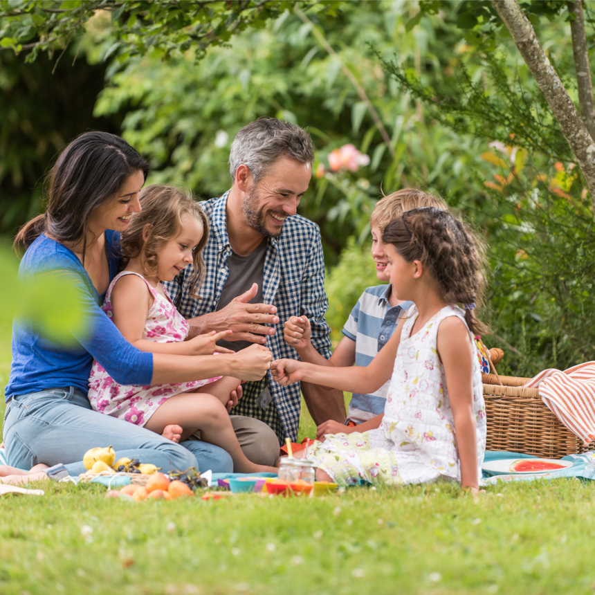 Picnic